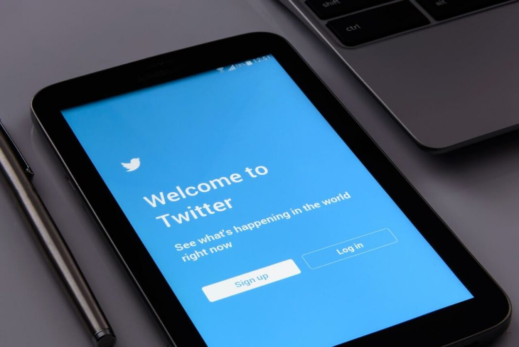 Elon Musk devient le plus gros actionnaire de Twitter quel impact sur le Doge - pixabay - twitter-gf0bd52ef7_1280