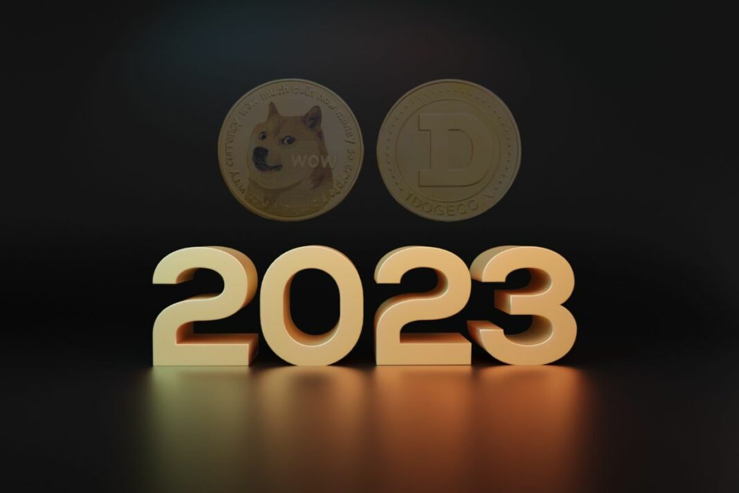 Comment s’est passée l’année 2023 pour le DOGE - canva