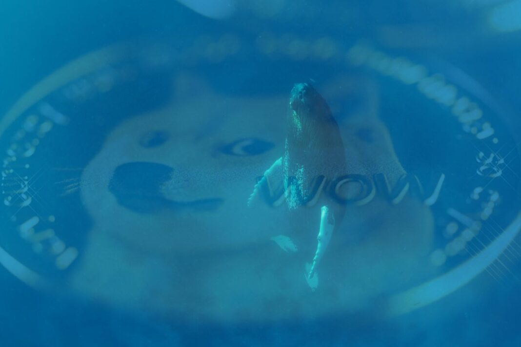 Les Baleines Dogecoin à la Poursuite des Titans DOGE en 2024 - canva