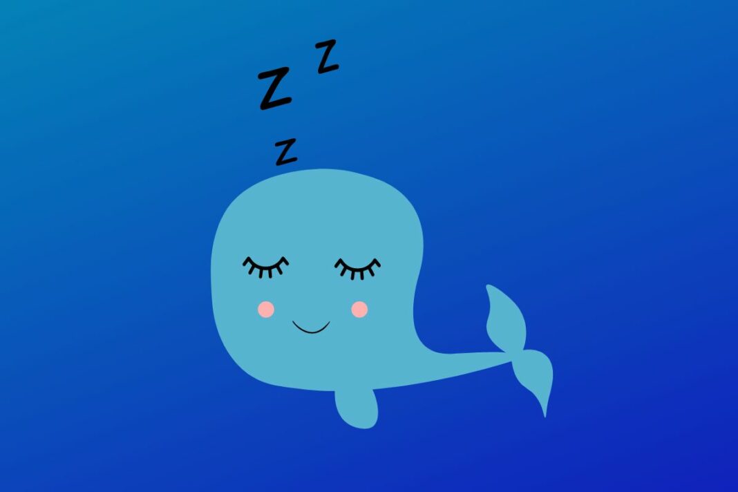 Satoshi-Era DOGE la résurgence d'une baleine après 10 ans de dormance - canva